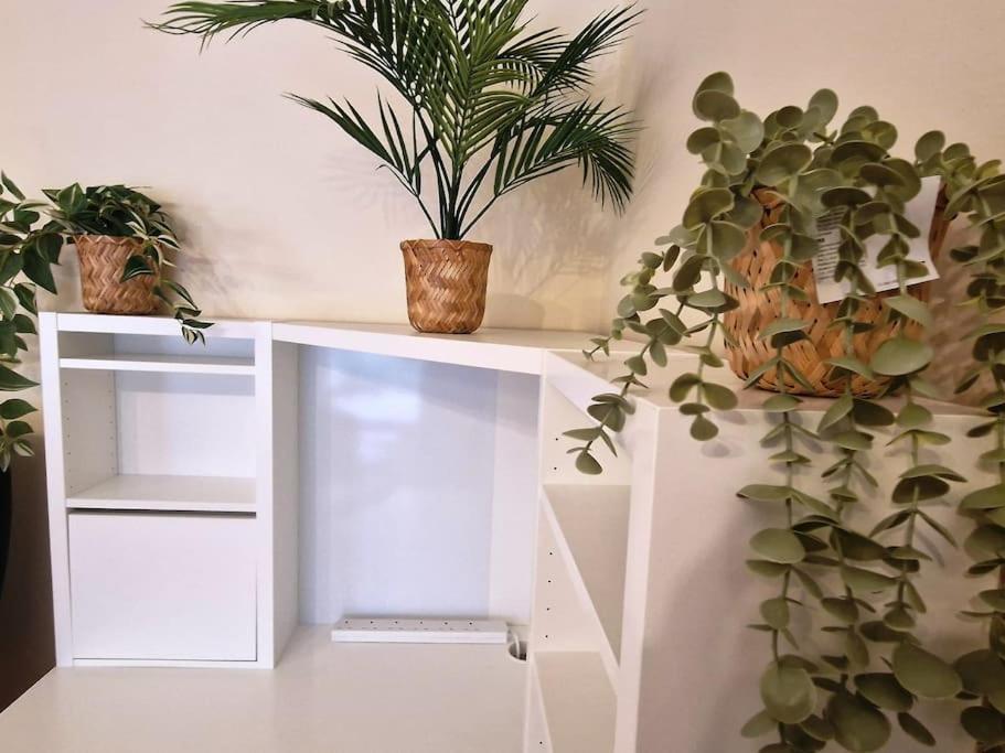 2 Bedroom Flat Close To Centre Bristol Ngoại thất bức ảnh